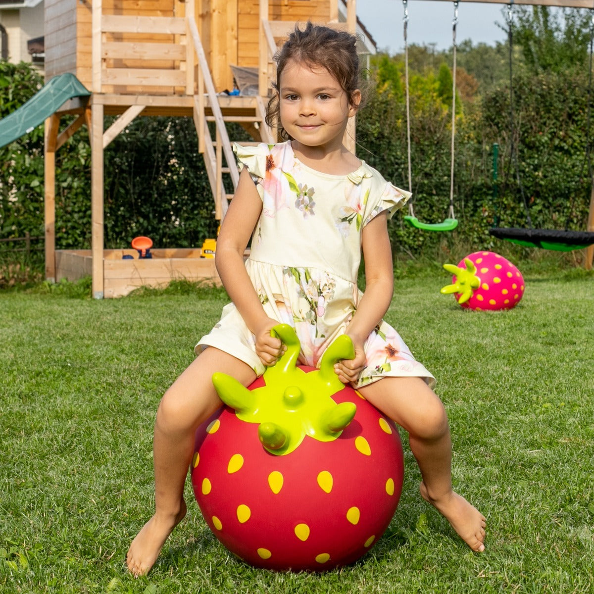 Gerrardo's Toys Jumpy Aardbei Skippybal - tot 100 kg