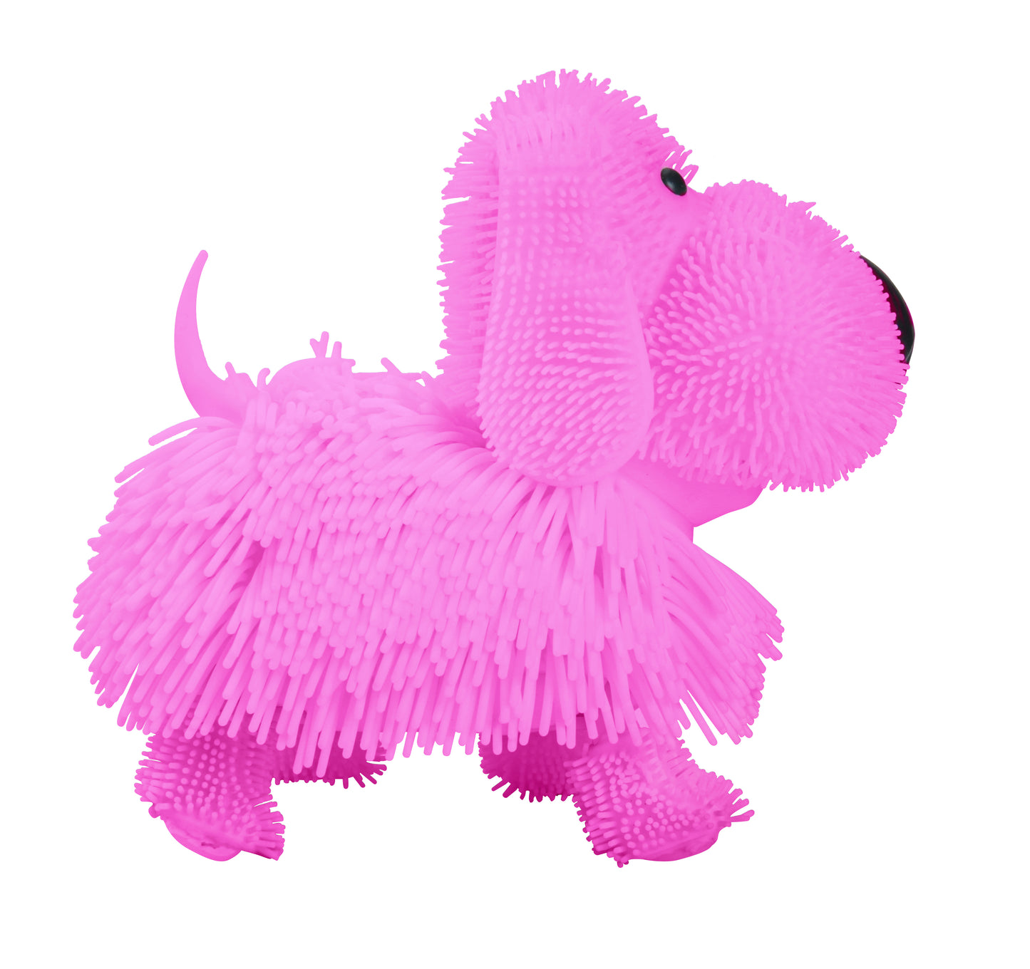 Gerrardo's Toys Funky Puppy met Muziek - Roze